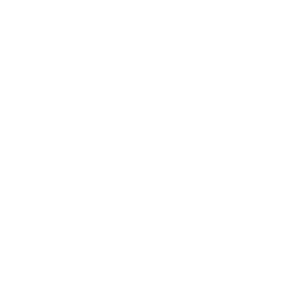 www.dsiisolamenti.com